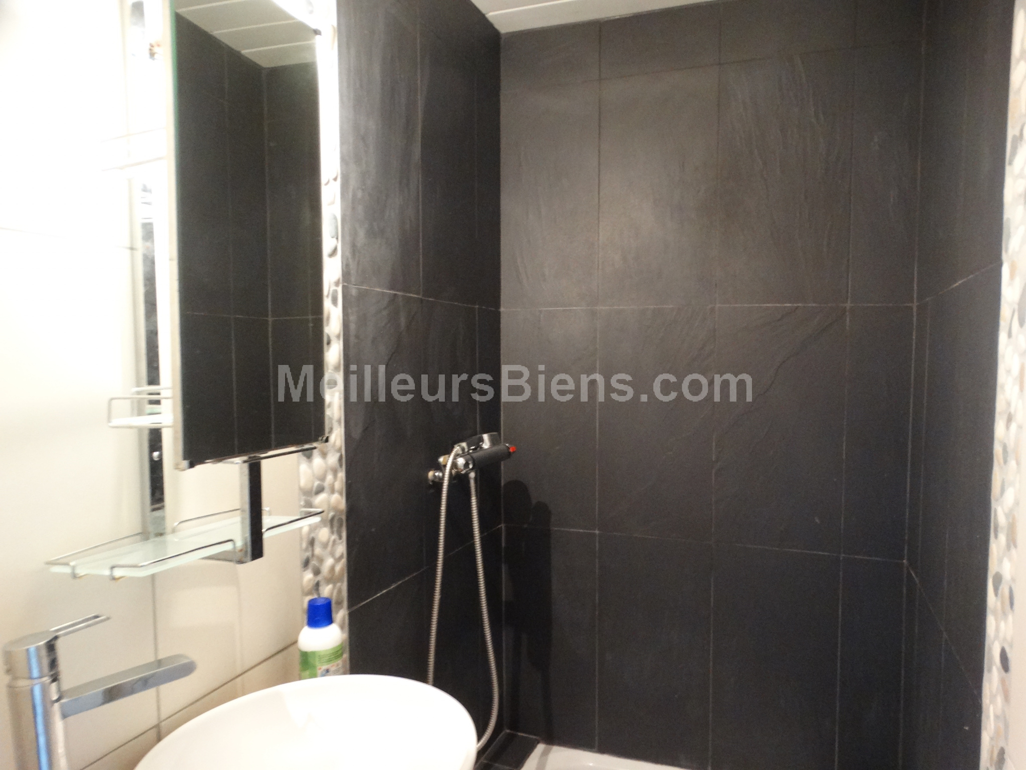 appartement 33m2 avec cave et jardin collectif